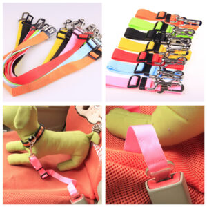 Fixed Strap Polyester Dog Strap Dog Leash Dog Leash