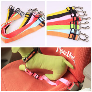 Fixed Strap Polyester Dog Strap Dog Leash Dog Leash