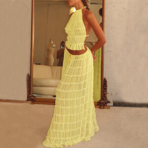Sexy Sleeveless Backless Cropped Halter Top And Pleated Long Dress | 2pcs