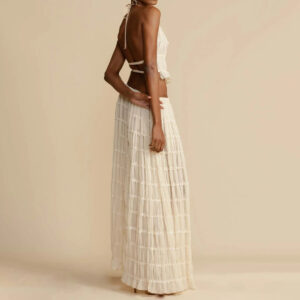 Sexy Sleeveless Backless Cropped Halter Top And Pleated Long Dress | 2pcs