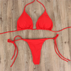 Upgrade Your Beach Style with 2pcs Halterneck Lace-up Bikini