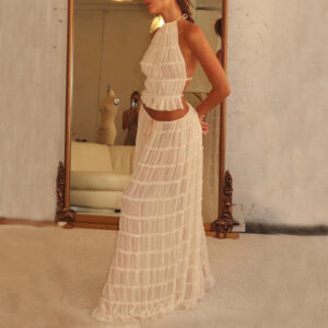 Sexy Sleeveless Backless Cropped Halter Top And Pleated Long Dress | 2pcs